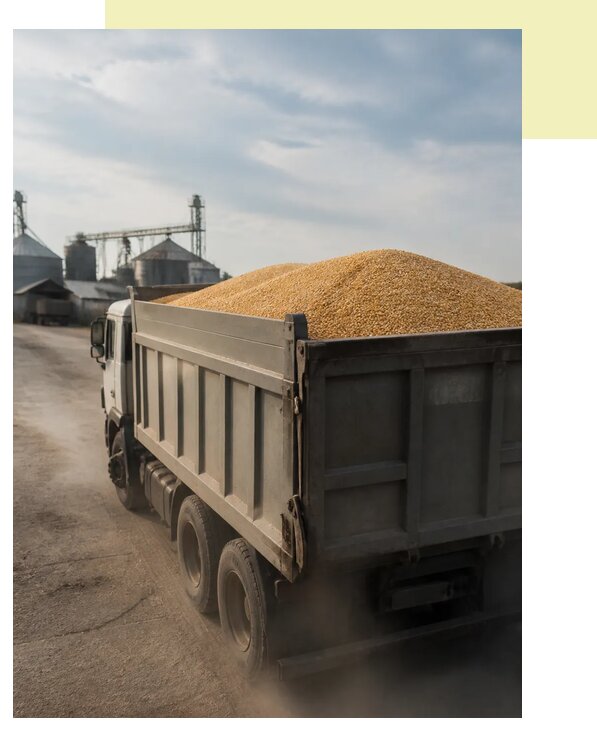 Перевозка сельхозпродукции навалом в Бердск по цене от 3124 р. | Агросервис-Брд