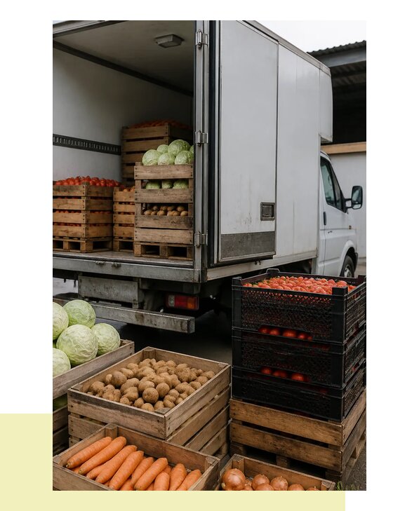 Перевозка овощей в Бердск с гарантией сохранности груза